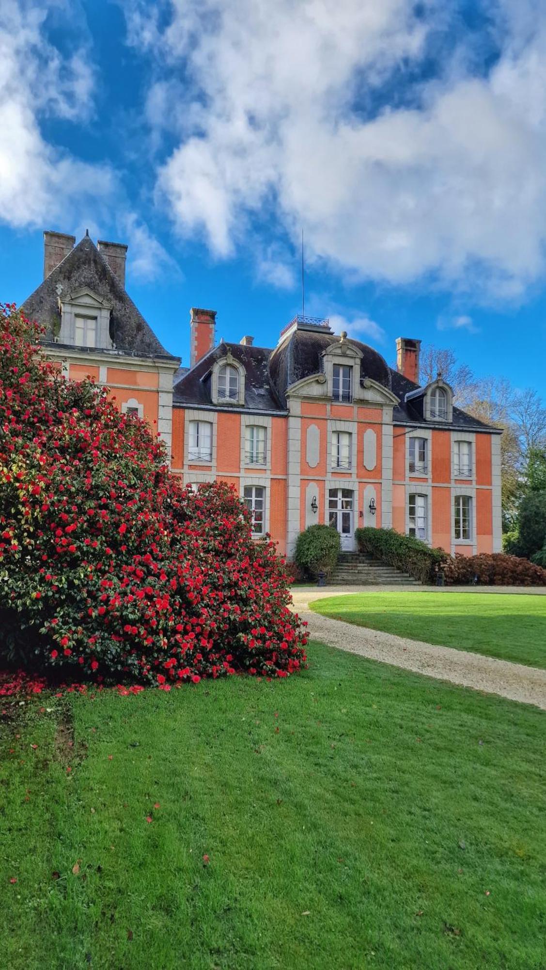 Chateau De Chantore Bacilly Екстериор снимка