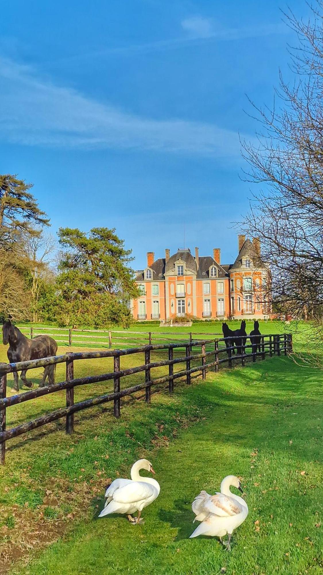 Chateau De Chantore Bacilly Екстериор снимка