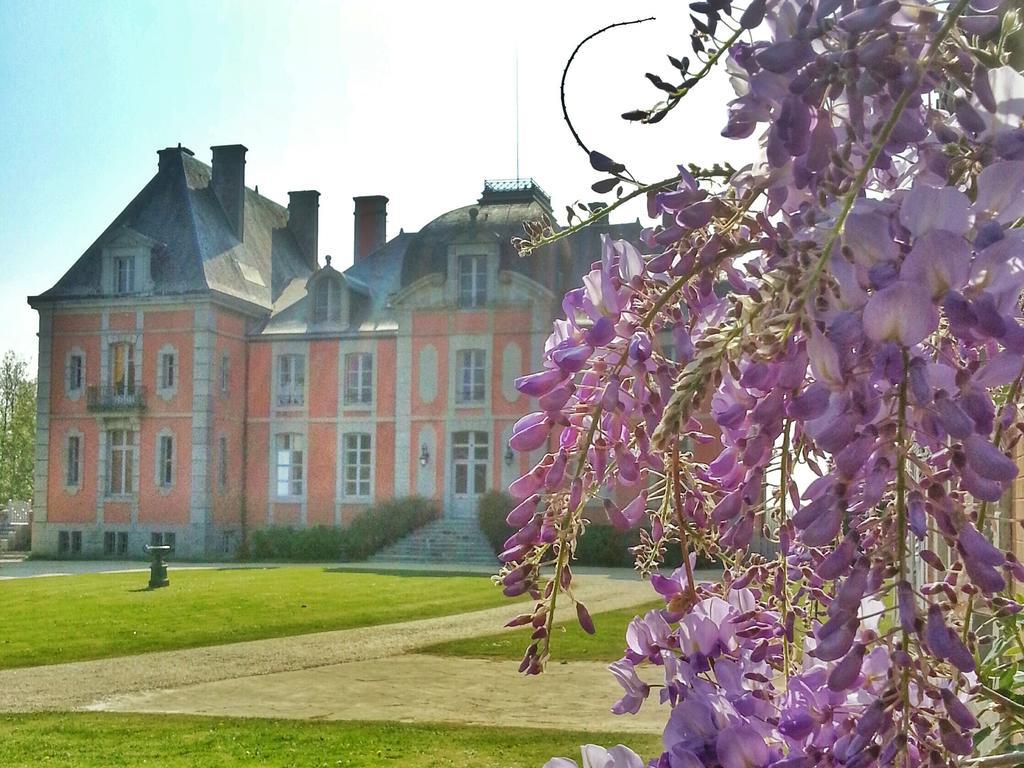 Chateau De Chantore Bacilly Екстериор снимка
