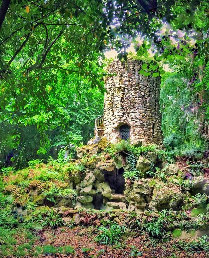 Chateau De Chantore Bacilly Екстериор снимка
