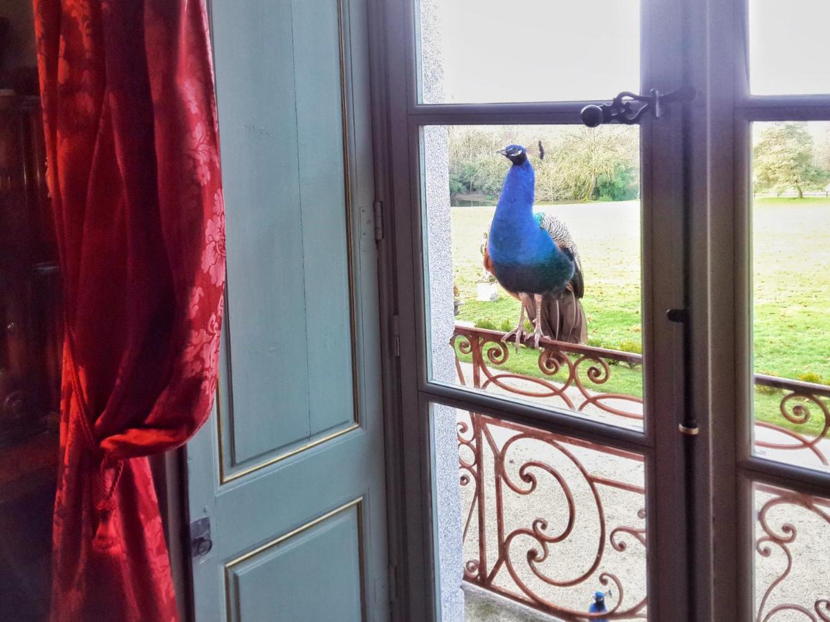 Chateau De Chantore Bacilly Екстериор снимка